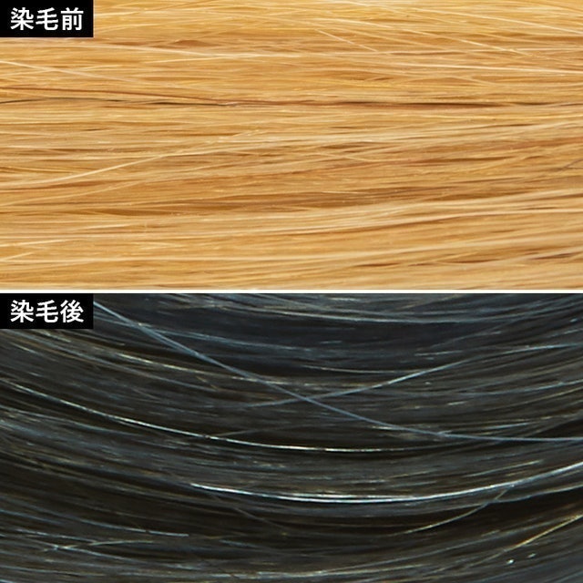 Liese Prettia 男士專用泡沫染髮劑 3