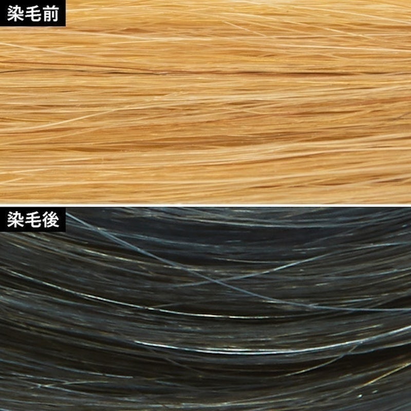 Liese Prettia 男士專用泡沫染髮劑 3