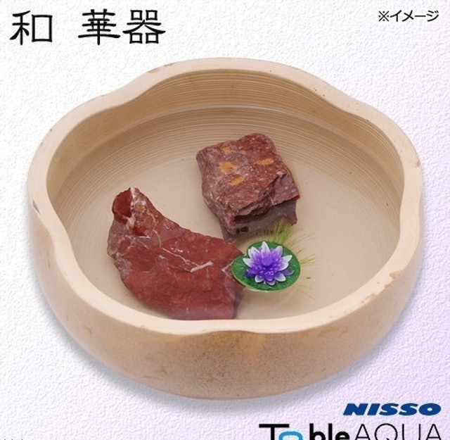 日式觀賞陶瓷缽 和 華器 1