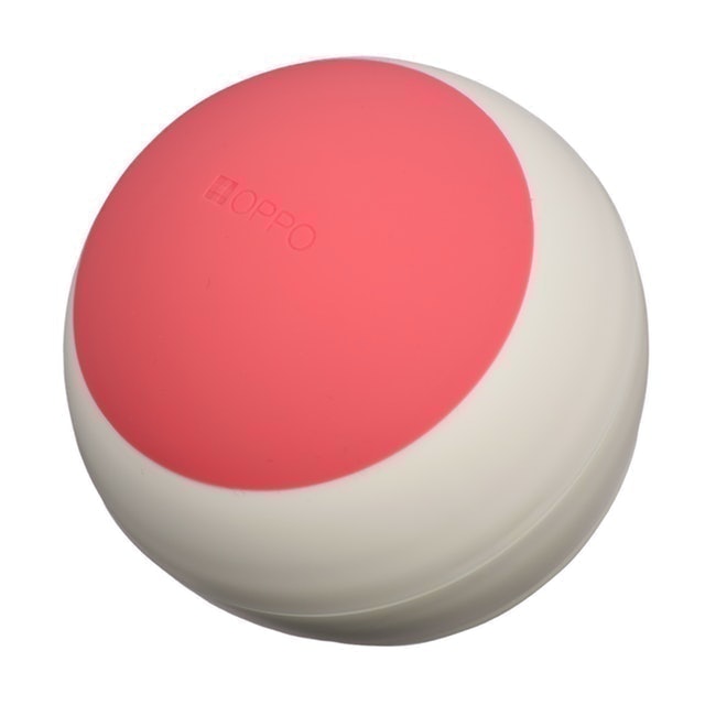 FoodBall 寵物專用慢食碗 5