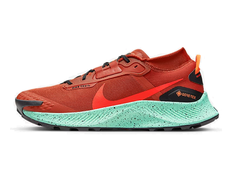 Pegasus Trail 3 GORE-TEX 1