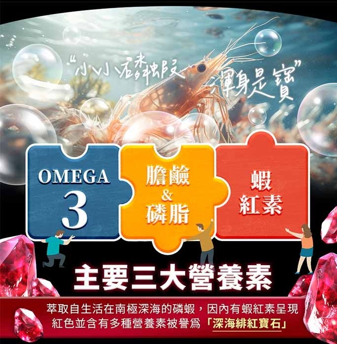 紅寶石南極磷蝦油軟膠囊 3
