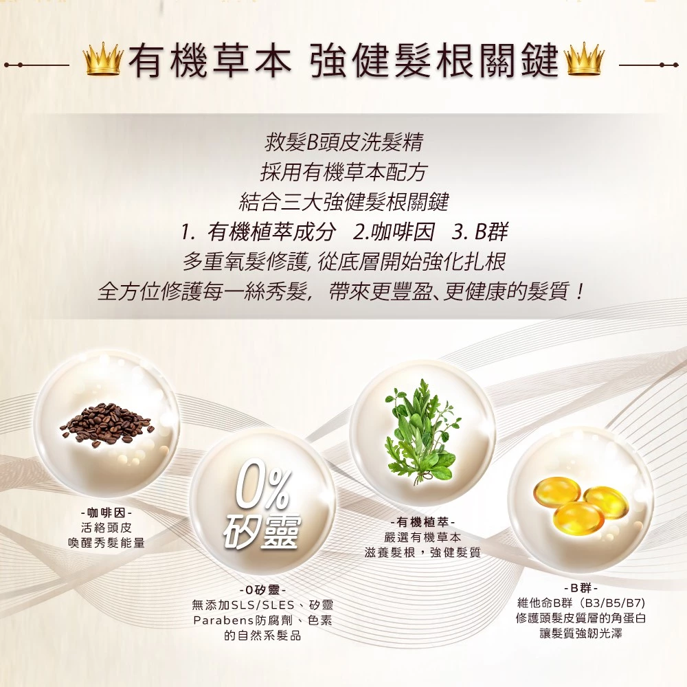 救髮B咖啡因洗髮精 2