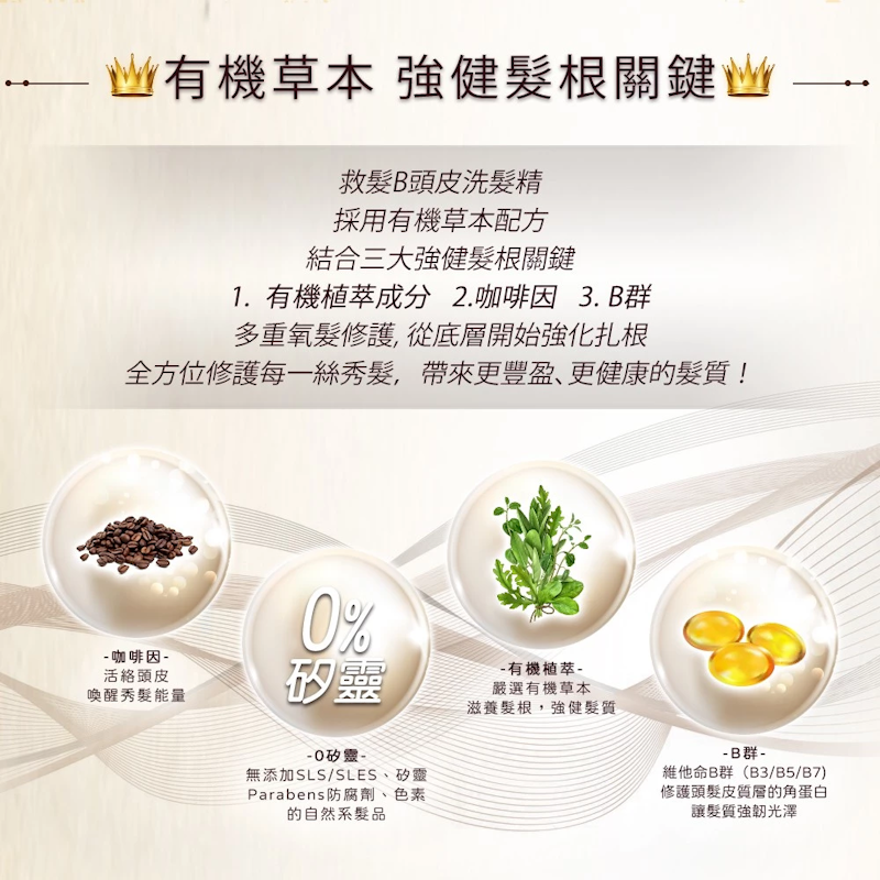 救髮B咖啡因洗髮精 2