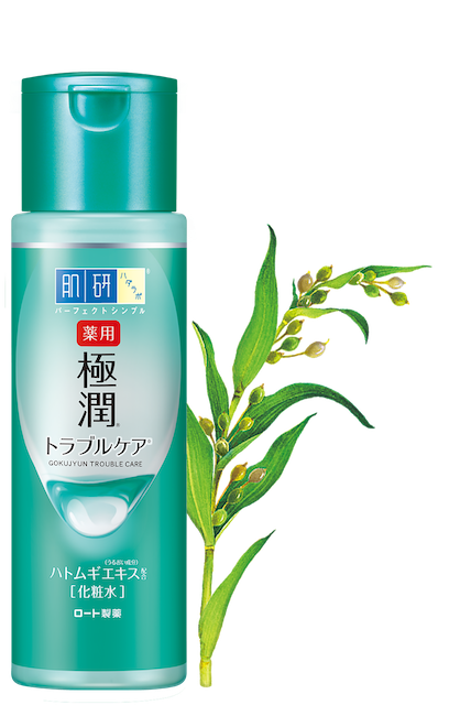極潤健康化粧水 1