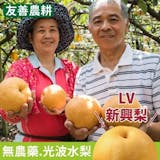 10 大水梨宅配推薦排行榜 1