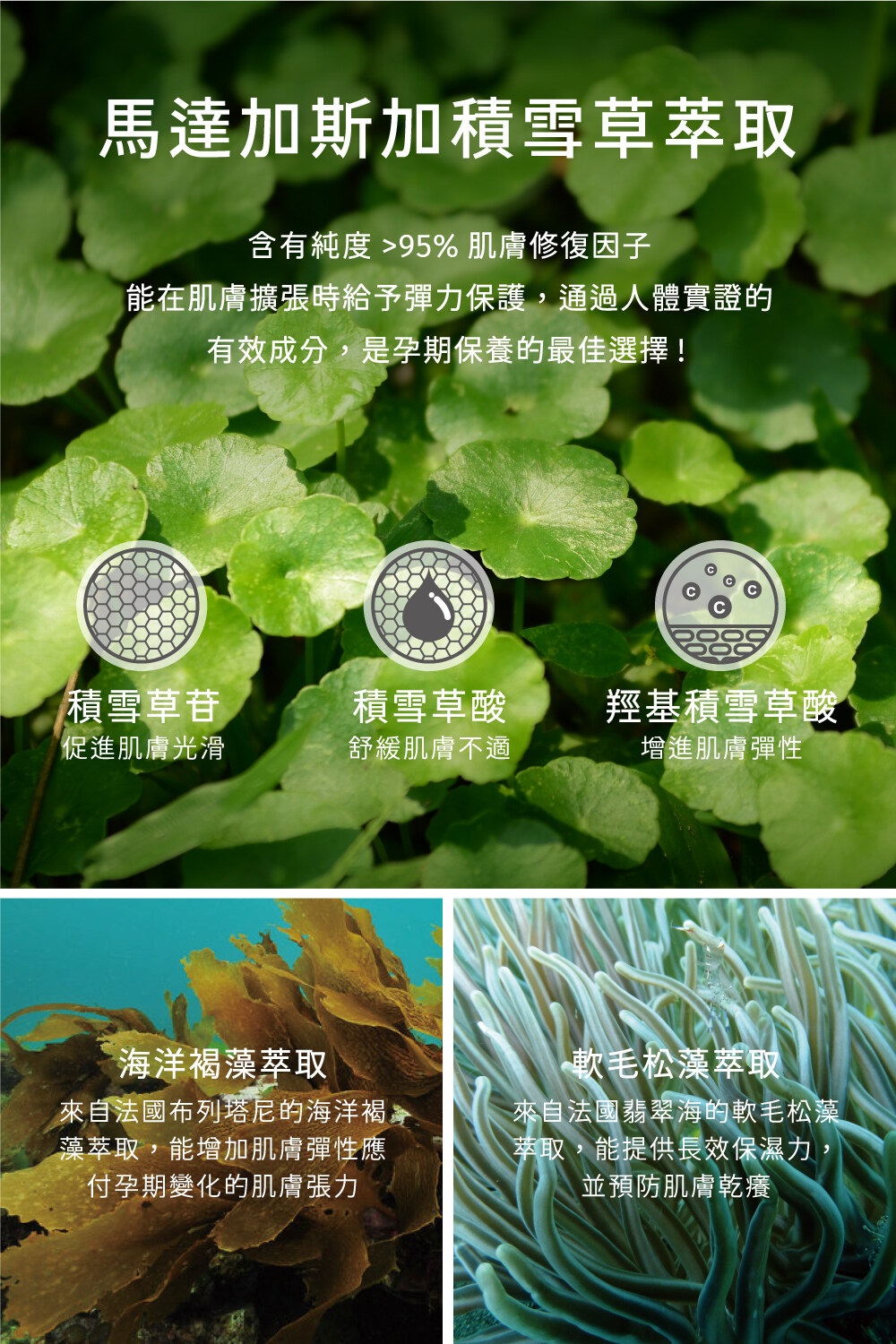 撫紋修護潤膚霜 2