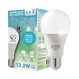 10 大省電燈泡推薦排行榜 1