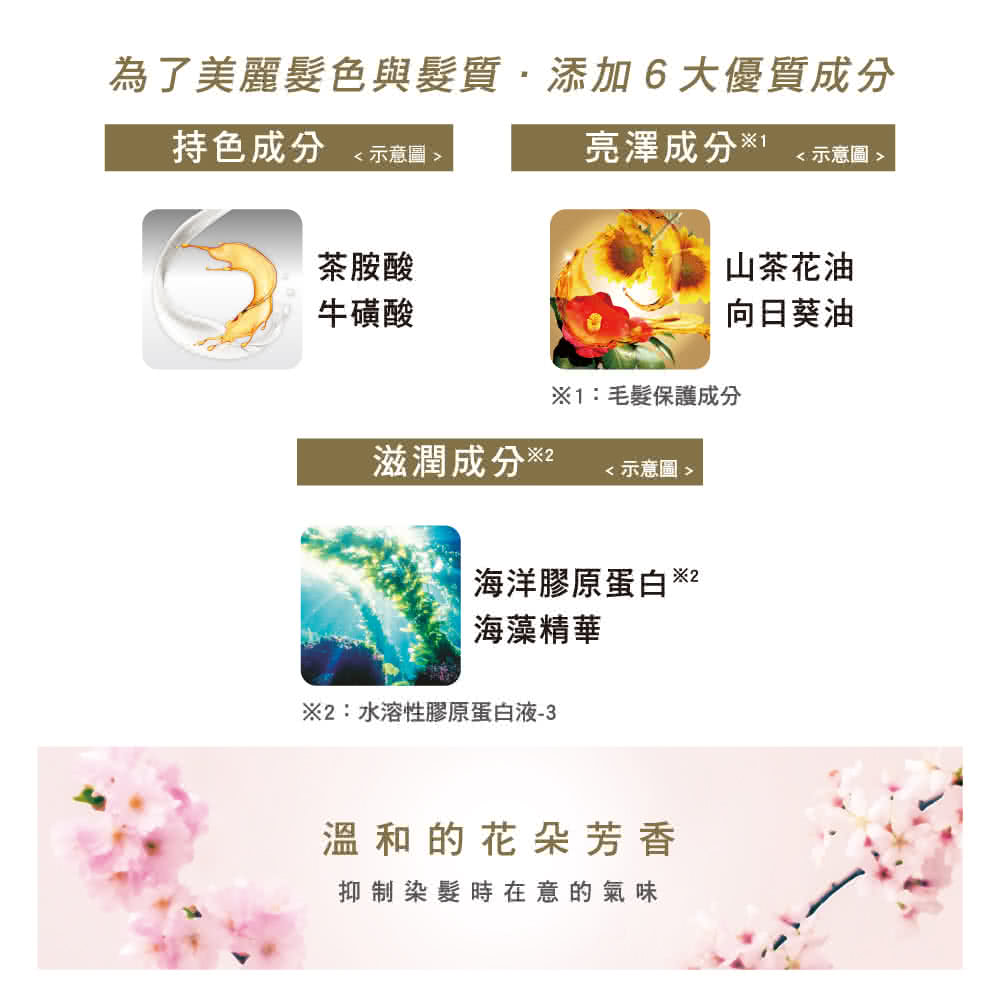 EX染髮霜 3