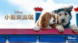 影評人監製10 大Disney+愛情電影推薦排行榜 3