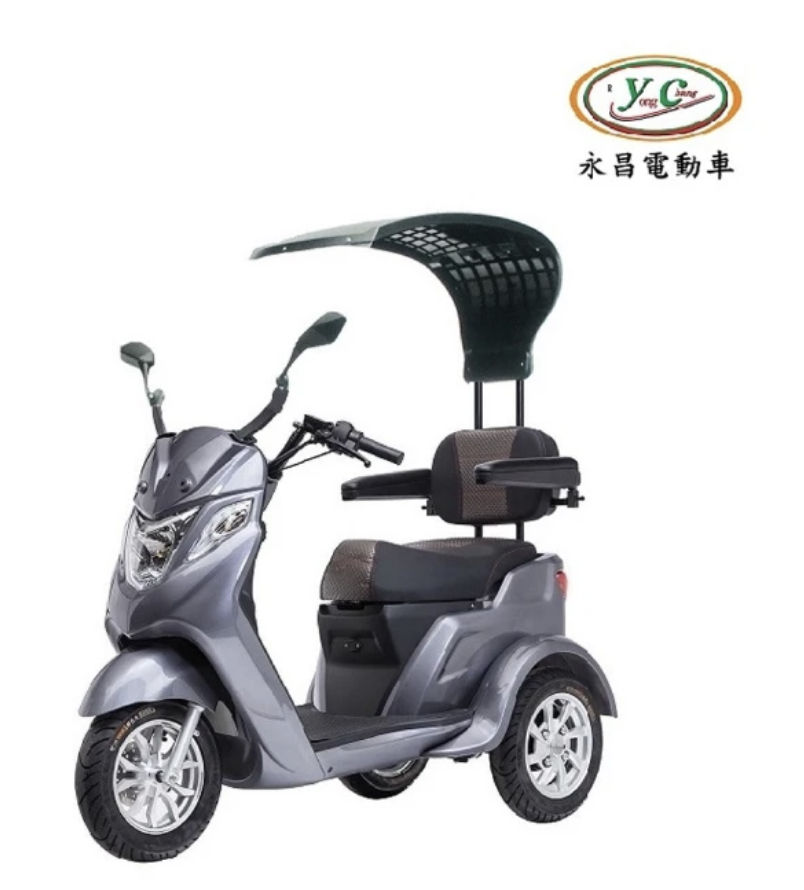 路寶雙人電動三輪休閒車 1