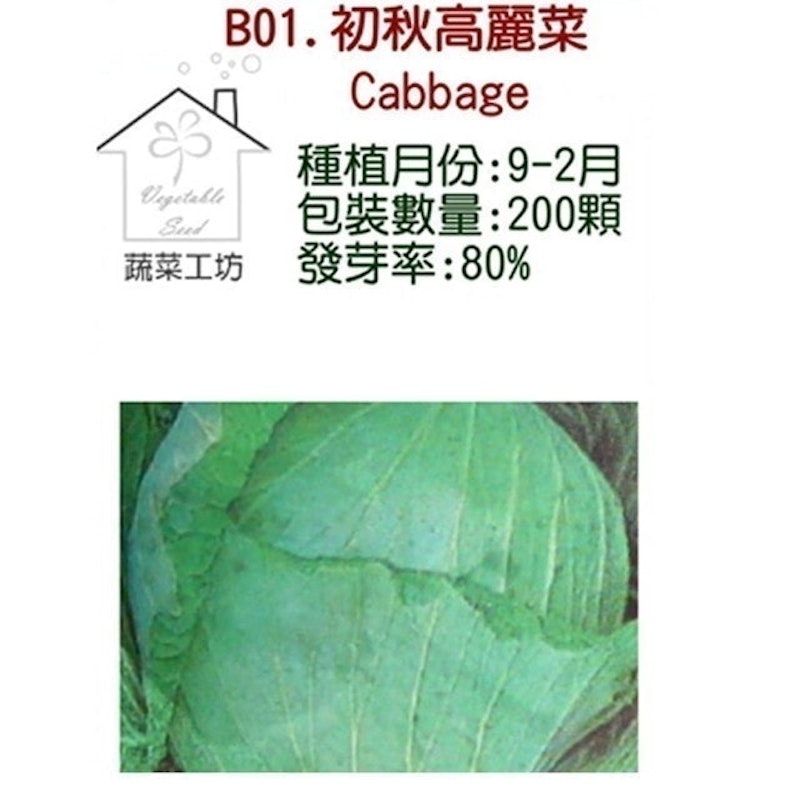 初秋高麗菜種子 1