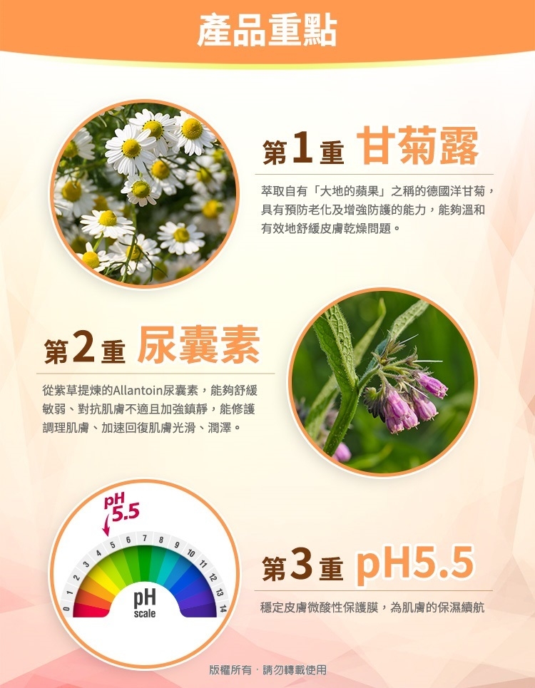 潤膚乳液 3