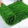 夏沐生活 青苔草皮 1