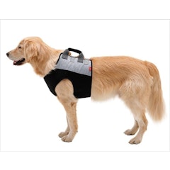 犬用步行輔助 輔助前肢背心