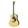 YAMAHA LL6 ARE 1