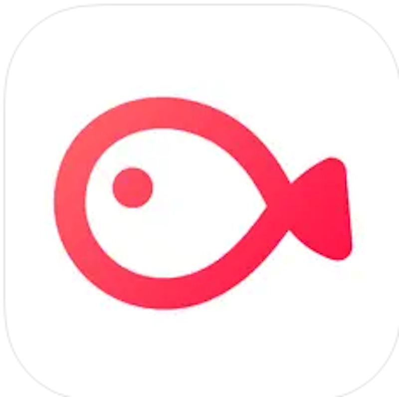 VLLO 1