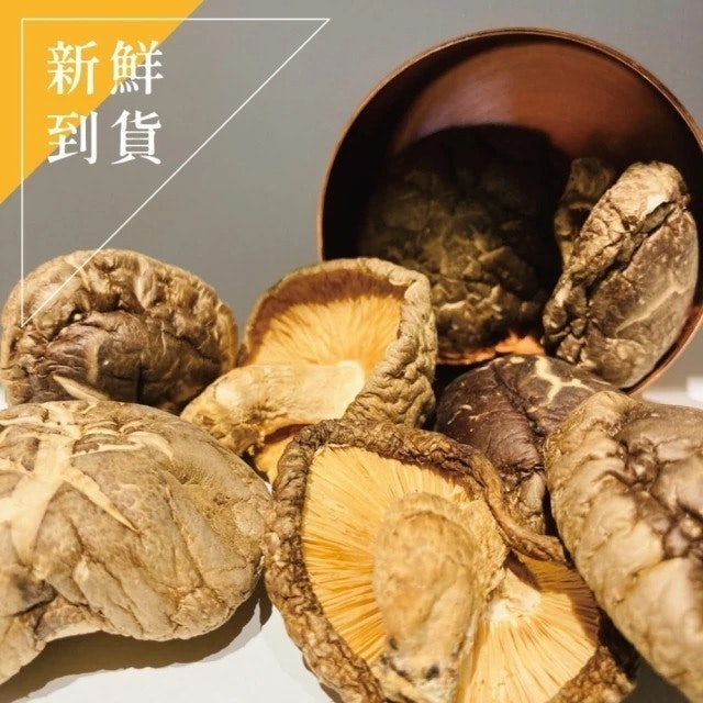10 大乾香菇推薦排行榜 4