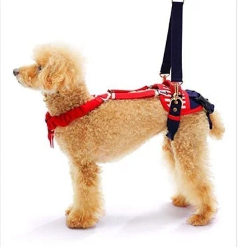 小型犬簡易款後肢輔助帶 1