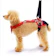 LaLaWalk 小型犬簡易款後肢輔助帶 1