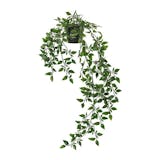 10 大仿真植物推薦排行榜 4