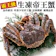海肉管家 霸王級生凍帝王蟹 1