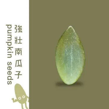 無調味南瓜子 1