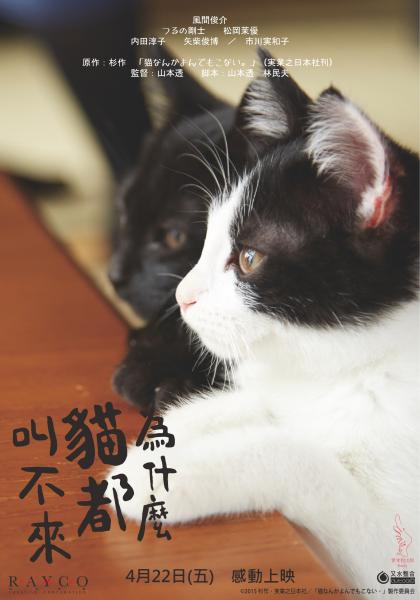 影評人監製10 大貓咪電影推薦排行榜 3