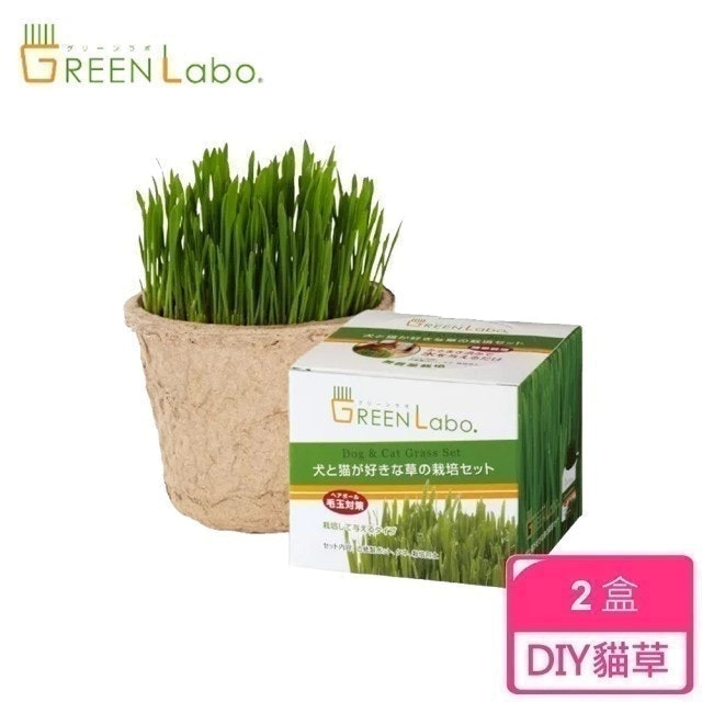 專家監製10 大貓草推薦排行榜 1