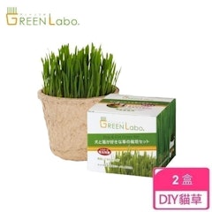 DIY貓咪燕麥草