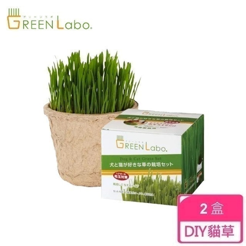 DIY貓咪燕麥草 1