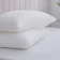 Tonia Nicole東妮寢飾 舒眠天絲枕 1