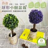 10 大仿真植物推薦排行榜 2