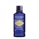 L’OCCITANE歐舒丹 10. L’OCCITANE歐舒丹 蠟菊精華露 1