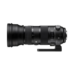 150-600mm F5-6.3 DG OS HSM Sports