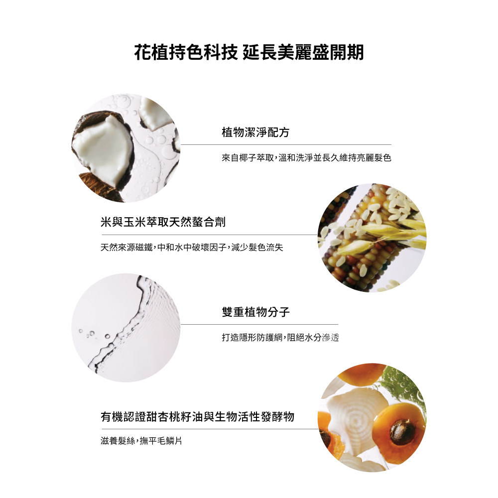 護色穎采洗髮精 3