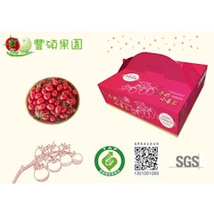產銷履歷認證牛奶小番茄