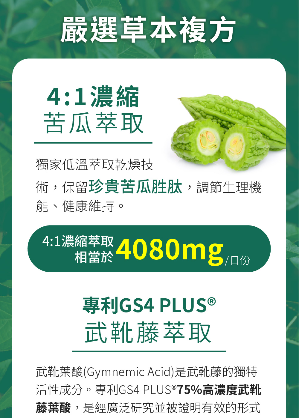 苦瓜胜肽草本複方素食膠囊 4