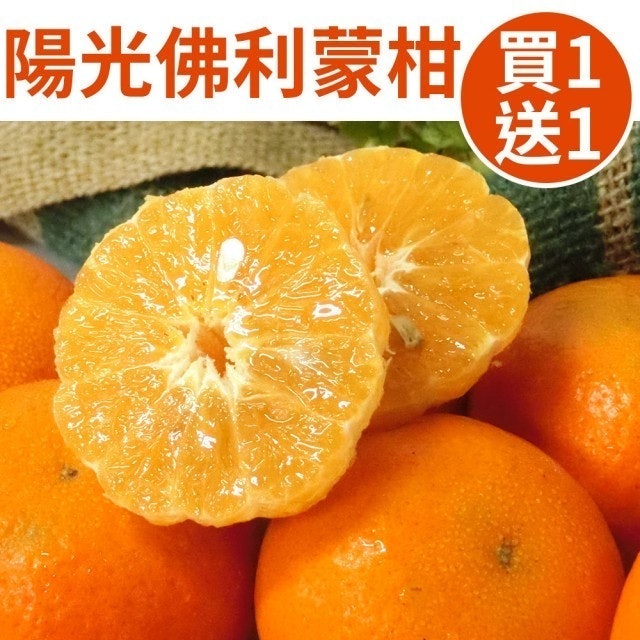 南投陽光佛利蒙柑 1