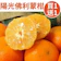 甜露露 南投陽光佛利蒙柑 1