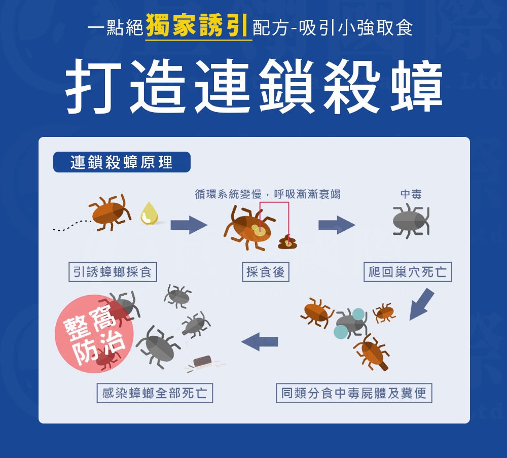 2%凝膠餌劑 3