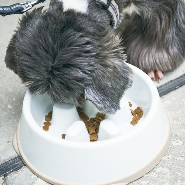 慢食碗 6