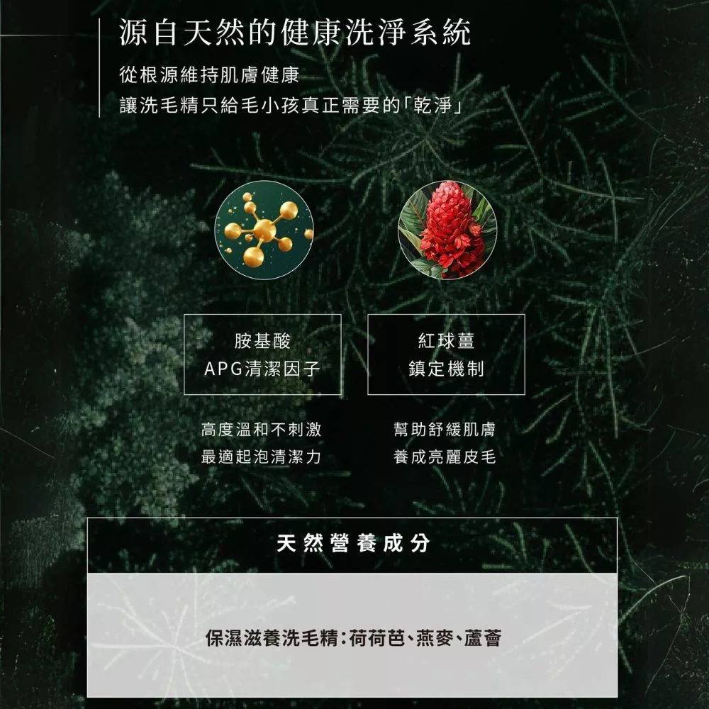  保濕天然低敏洗毛精  2