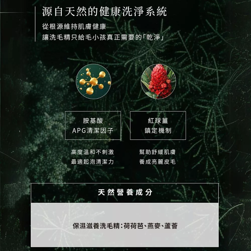 保濕天然低敏洗毛精 2