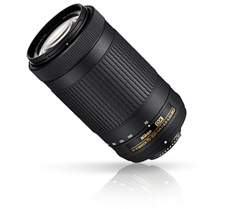 AF-P DX NIKKOR 70-300mm F/4.5-6.3G ED 1