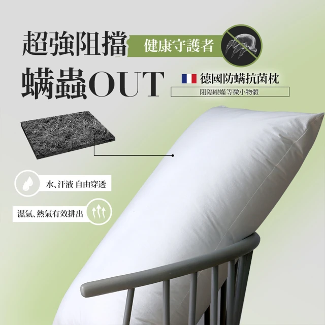30／70 羽絨枕 3