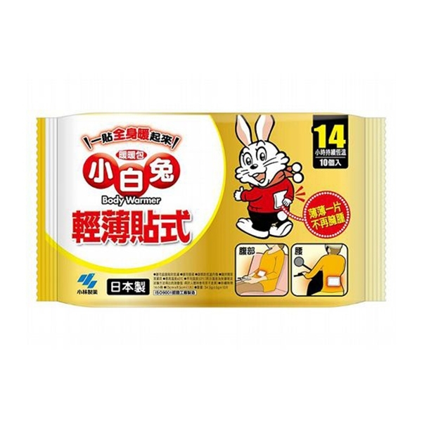 10 大貼式暖暖包推薦排行榜 1