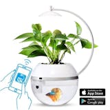 10 大金魚缸推薦排行榜 1