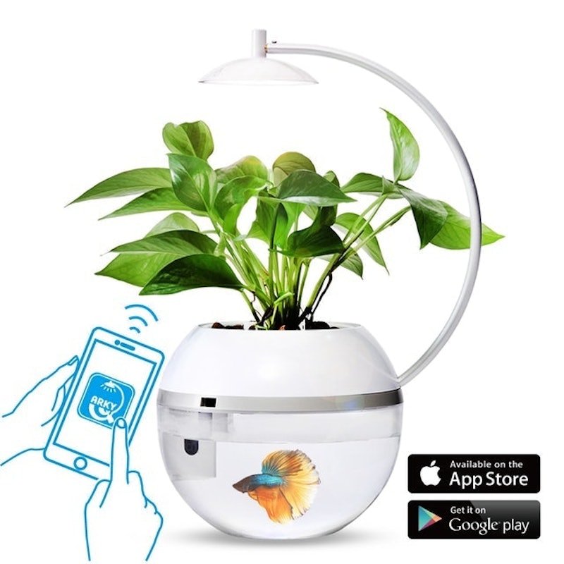 香草與魚2.0智能版 Herb&Fish Connect 1