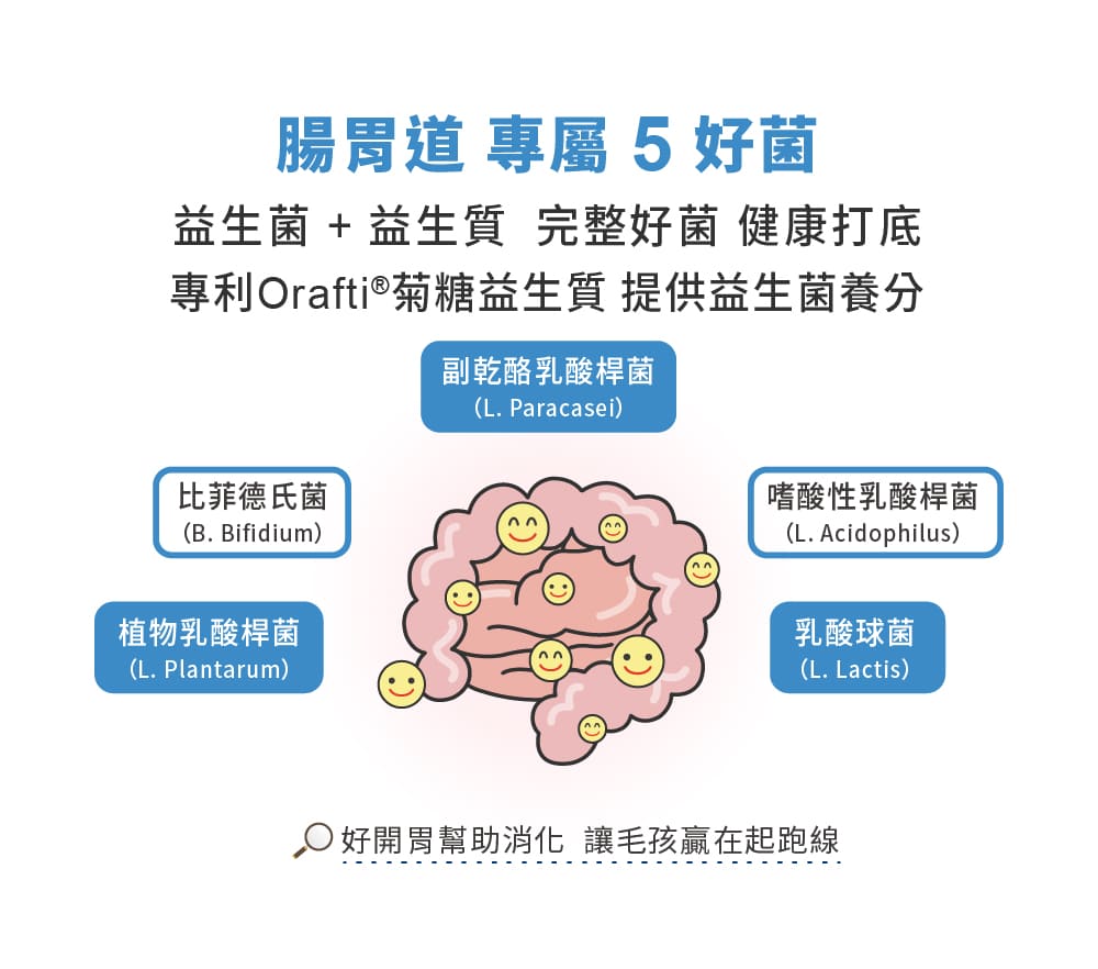 犬用專用腸胃保健 3